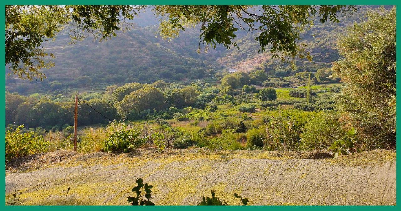 Апартаменты Kampos View Ikaria Эвдилос Экстерьер фото